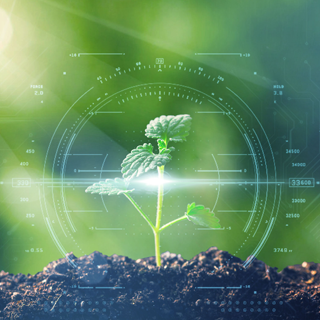 ca88手机客户端(安卓/苹果)CA88会员登录入口